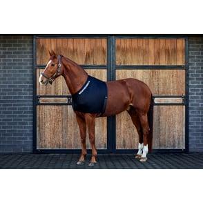 WeatherBeeta Stretch Shoulder Guard