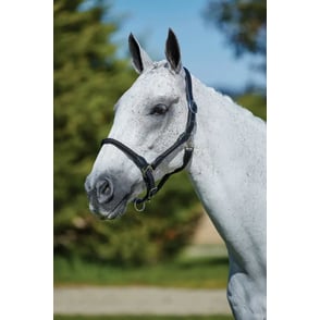 Kincade Leather Rope Halter