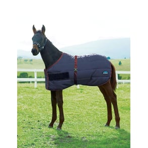 Weatherbeeta 420D Foal Standard Neck Medium 220g