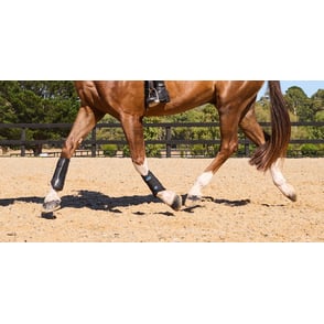 Weatherbeeta Tough-Tec Prime Brushing Boots
