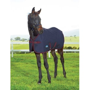 Weatherbeeta 200D Foal Standard Neck 220G