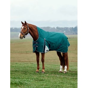 Weatherbeeta Comfittec Plus Dynamic Turnout High Neck 220G
