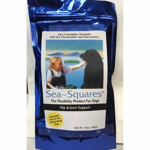 Sea Squares Dog 16 ounces