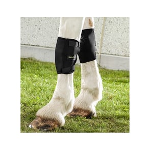 Back on Track Knee Boots