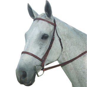 Kincade Plain Raised Bridle