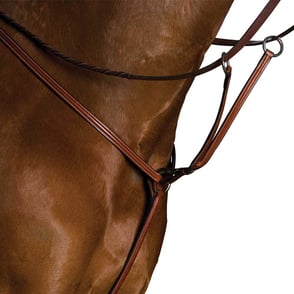 Kincade Raised Breastplate with Running Martingale