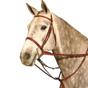 Kincade German Martingale Rein Set