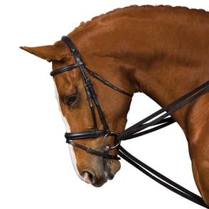 Kincade Leather Draw Reins
