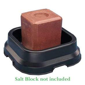 Pan for 50# Salt Block