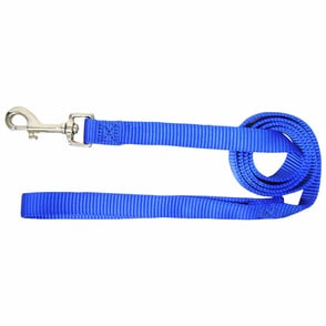 Hamilton 5/8 inch Classic Nylon Leash - 6 Feet
