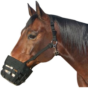 Best Friend Deluxe Grazing Muzzle