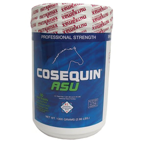Cosequin ASU Powder 1300 Grams