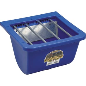 Foal Feeder Blue