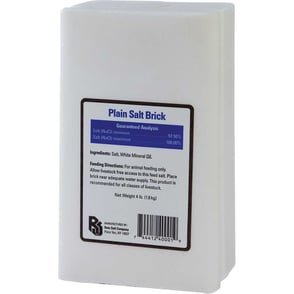 Salt Brick Plain