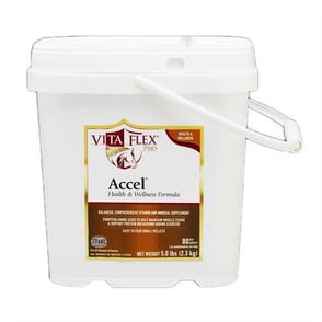 Vita Flex Accel Health and Wellness Pro 5lb