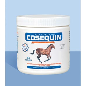 Cosequin Equine 280 Grams