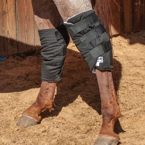 Cashel Boomer's Hock Sock