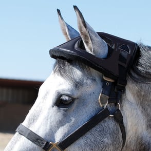 Cashel Horse Helmet