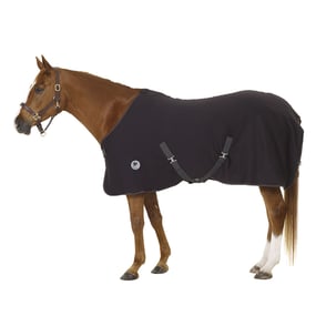 Centaur Turbo-Dry Cooler