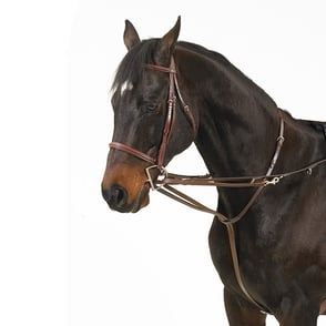 Camelot German Martingale Rein Set