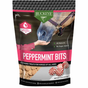 Buckeye Sugar Free Peppermint Bits - 4 lbs.