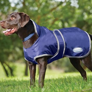 Weatherbeeta 420D Deluxe Windbreaker Dog Coat