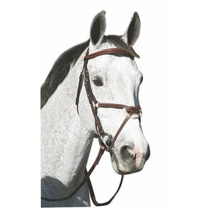 HDR Pro Mono Crown Figure 8 Bridle with Reins