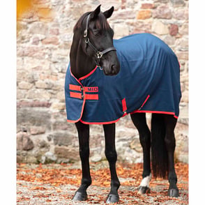 Amigo Mio Stable Sheet