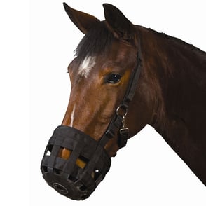 Roma Grazing Muzzle