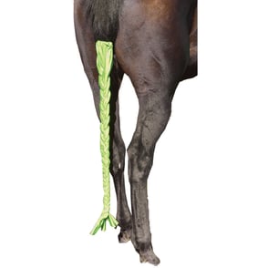 Centaur Braid Tail Bag
