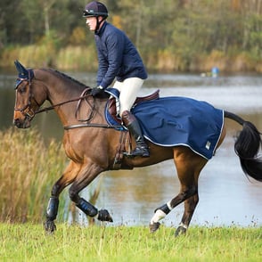 Rambo Waterproof Fleece Exercise Sheet