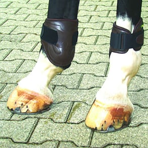 Amerigo Pialotta Fetlock Boots II with Velcro