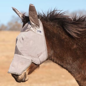 Cashel Crusader Long Nose Fly Mask with Mule Ears