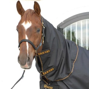 Bucas Irish Turnout Combi Neck Hood