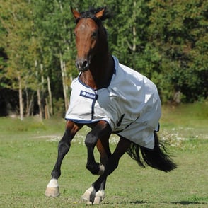 Bucas Sunshower Lightweight Turnout Sheet