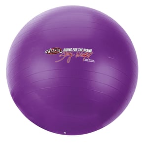 Stacy Westfall Activity Ball Small