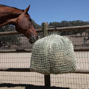 Freedom Feeder Day Slow Feed Hay Bag