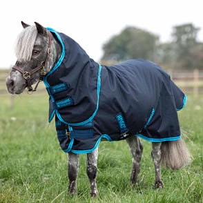Amigo Petite Hero 6 Plus Medium Weight Turnout