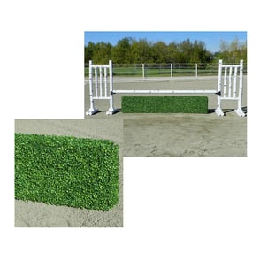 Burlingham Sports Boxwood Hedge