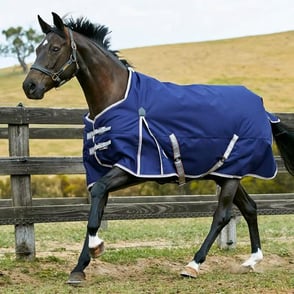 Weatherbeeta ComFiTec Essential Medium Weight