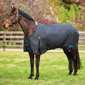 Saxon 1200D Standard Neck Lightweight II Turnout