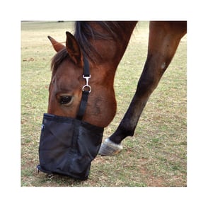 Cashel Feed Rite Bag