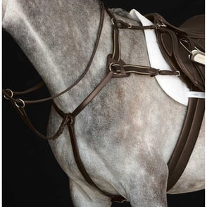 Collegiate 5 Point Breastplate
