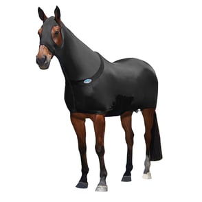 WeatherBeeta Stretch Rug