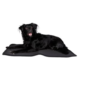 Back on Track Dog Bed Liner