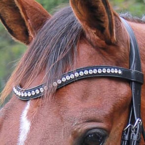 Vespucci Contoured Swarovski Crystals