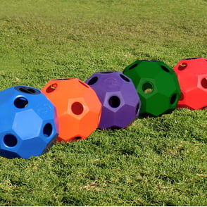 Burlingham Hay Ball Feeder