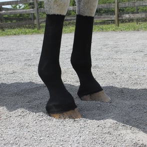 EquiFit HorseSox - Pair