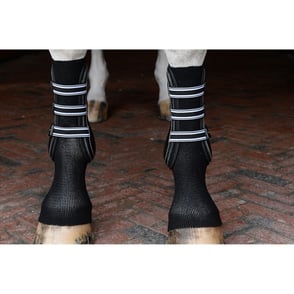EquiFit GelSox 