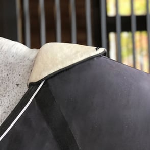 EquiFit Wither Shield